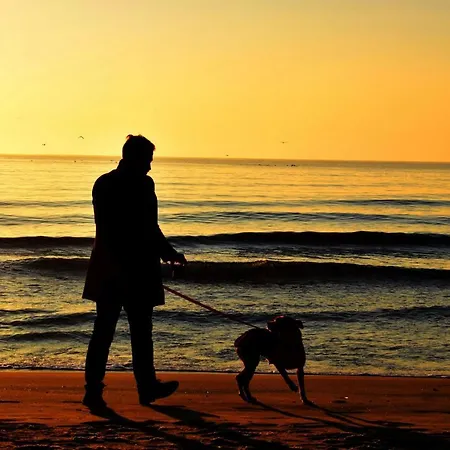 Jazz & Wine - Luxury By The Sea & Parking & Hbo & Netflix فارنا