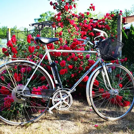 Jazz & Wine Apartment & Next To Sea Garden & Parking & Hbo & Netflix & 2 Bathrooms *