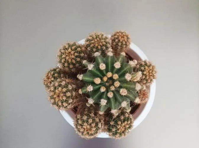 Boutique 100sqm apARTment&2 Bathrooms&Next to Sea Garden&Parking&HBO&Netflix