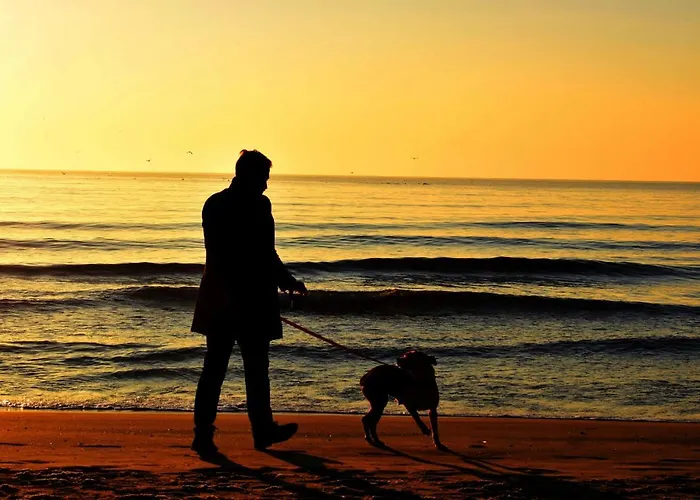 Jazz & Wine Apartment & Next To Sea Garden & Parking & Hbo & Netflix & 2 Bathrooms Warna