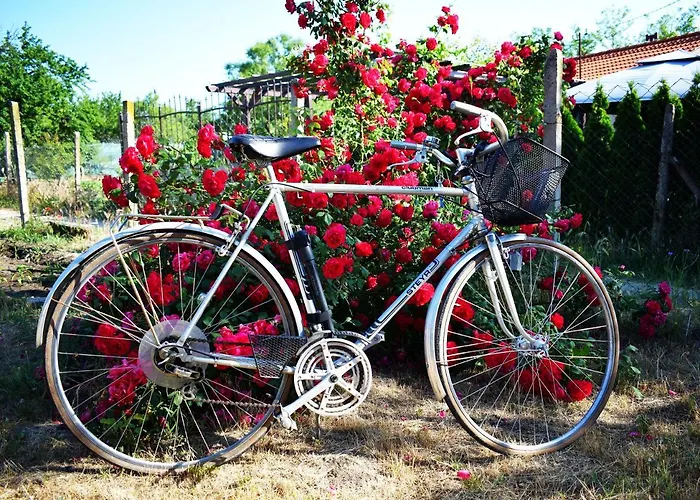 Jazz & Wine Apartment & Next To Sea Garden & Parking & Hbo & Netflix & 2 Bathrooms *